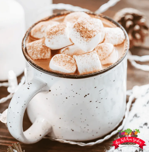 Quick Hot Chocolate